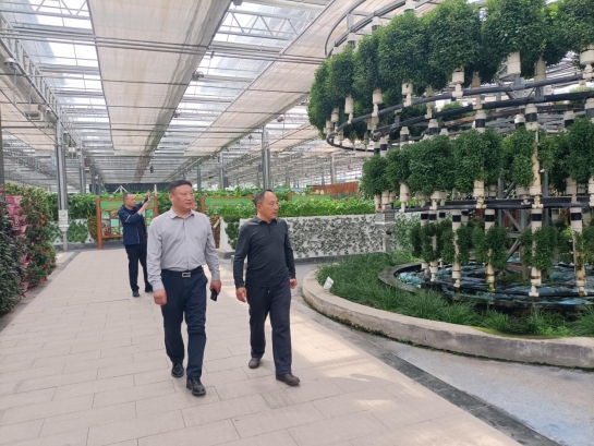 泰安市饭店烹饪协会赴聊城莘县考察食材供应链及参加首届果蔬雕刻冷拼技能竞赛