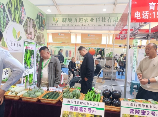 泰安市饭店烹饪协会赴聊城莘县考察食材供应链及参加首届果蔬雕刻冷拼技能竞赛