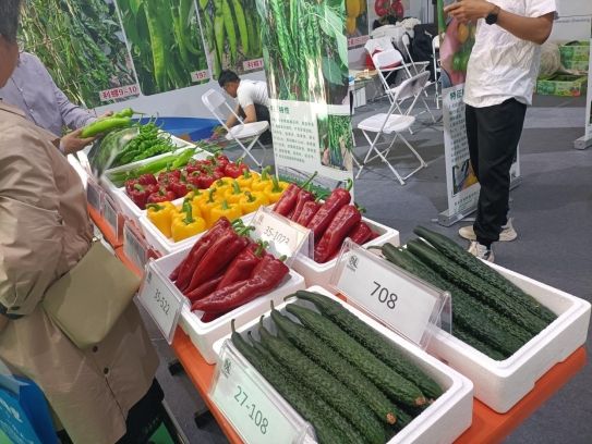泰安市饭店烹饪协会赴聊城莘县考察食材供应链及参加首届果蔬雕刻冷拼技能竞赛
