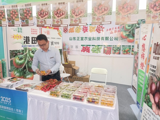 泰安市饭店烹饪协会赴聊城莘县考察食材供应链及参加首届果蔬雕刻冷拼技能竞赛