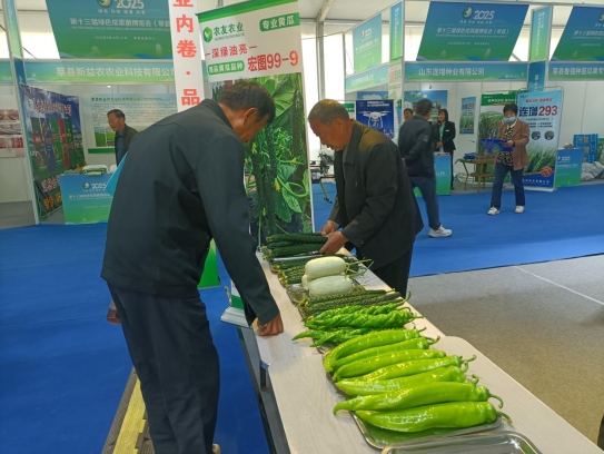 泰安市饭店烹饪协会赴聊城莘县考察食材供应链及参加首届果蔬雕刻冷拼技能竞赛