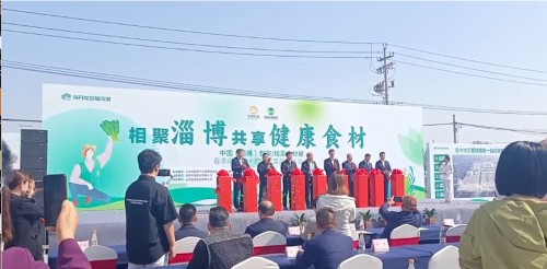 携手共进 品味创新——泰安市餐饮行业协会赴淄博参展交流活动纪实